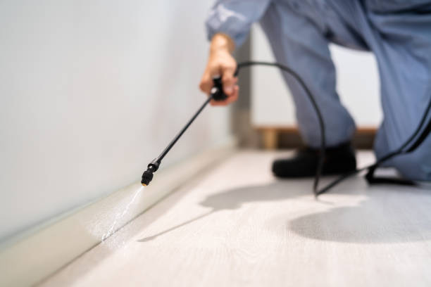 Licensed Termite Control service in Palacios, TX - Show Me Pest Control