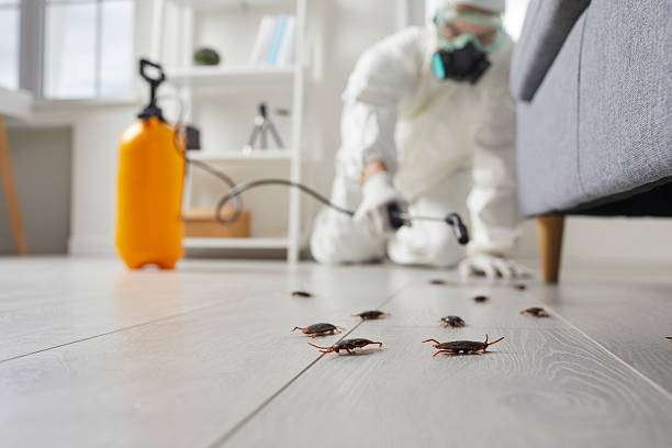 Commercial Kitchen Cockroach Control in Palacios